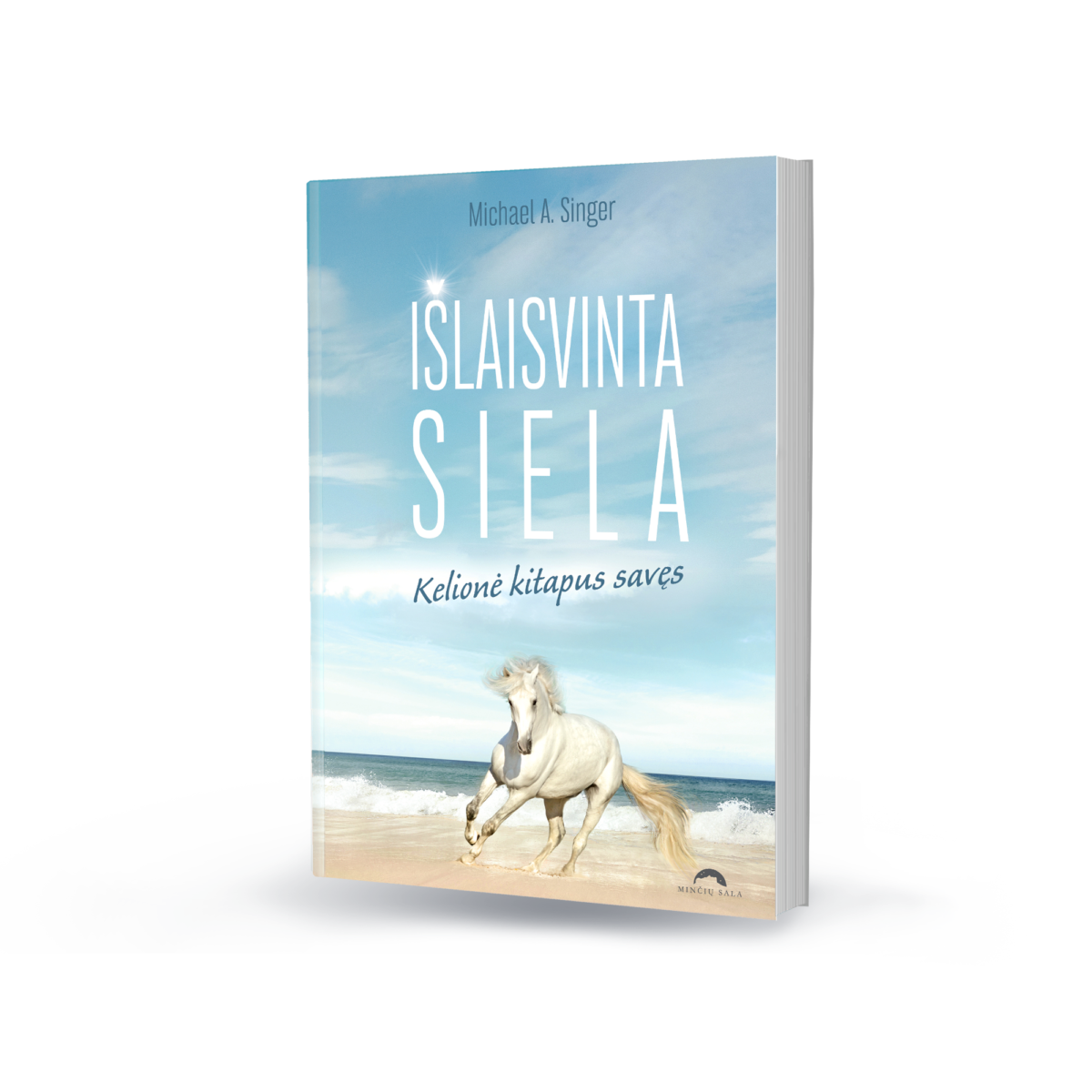 Išlaisvinta siela. Kelionė kitapus savęs. Michael A. Singer