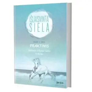 Praktinis kelionės kitapus savęs vadovas. Michael A. Singer