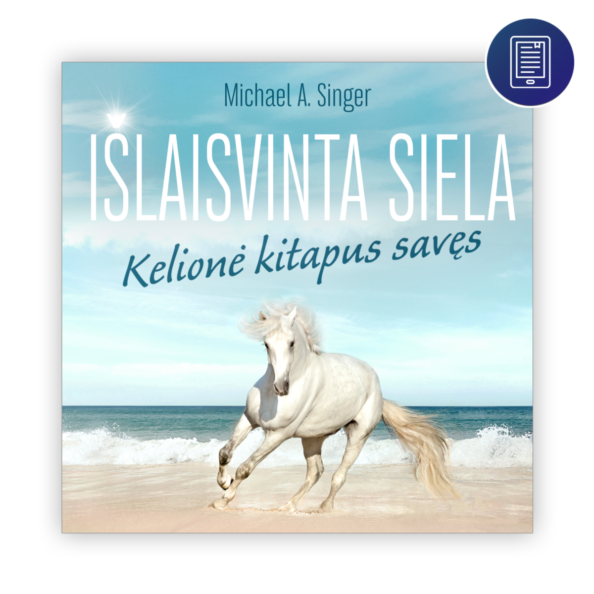 Išlaisvinta siela. Kelionė kitapus savęs. Michael A. Singer. Elektroninė knyga