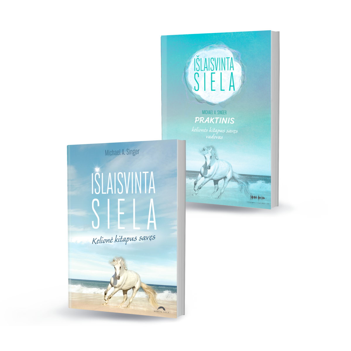 RINKINYS: Išlaisvinta siela. Kelionė kitapus savęs ir Praktinis kelionės kitapus savęs vadovas. Michael A. Singer