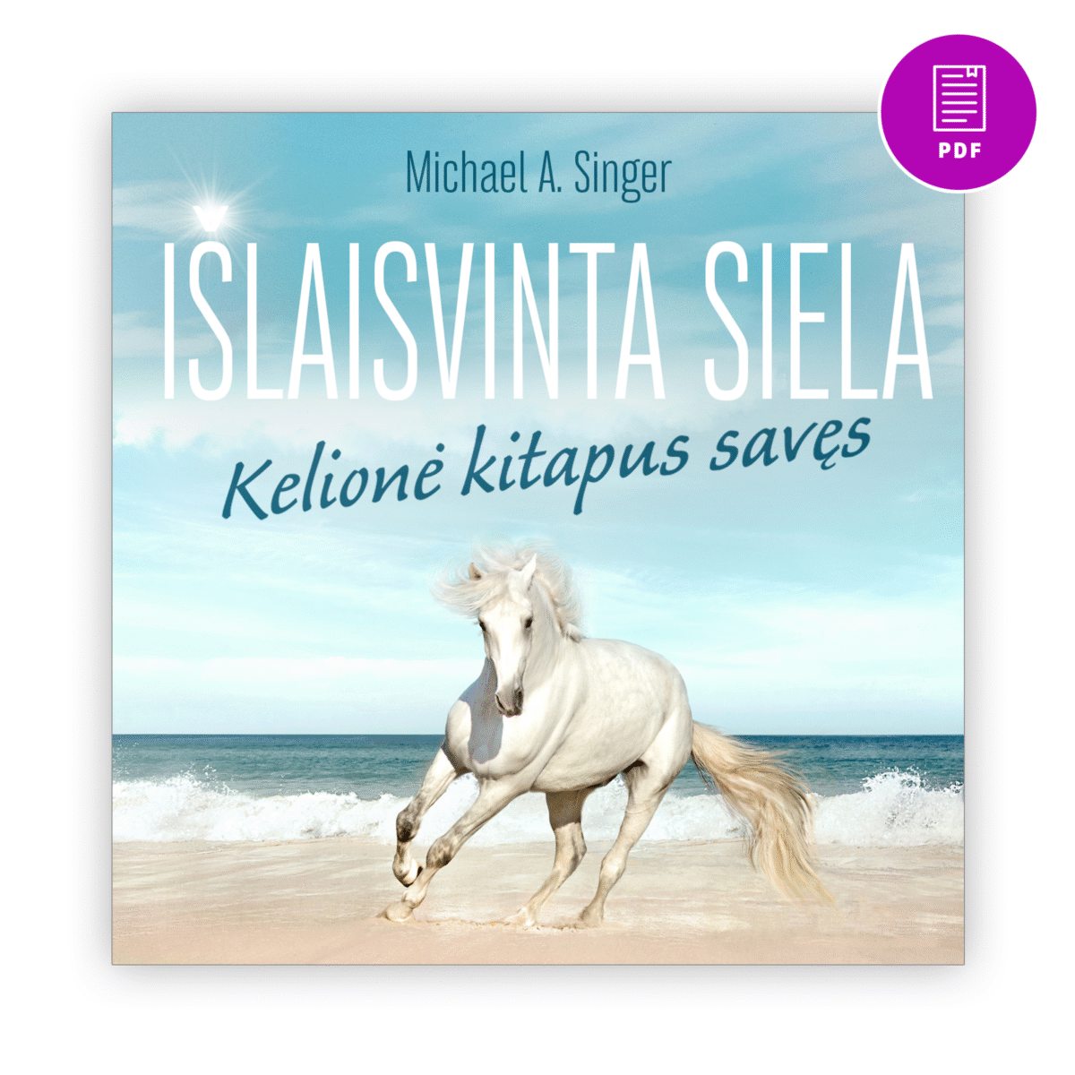 Išlaisvinta siela. Kelionė kitapus savęs. Michael A. Singer. Elektroninė knyga