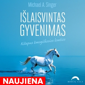 Išlaisvintas gyvenimas. Kitapus žmogiškosios lemties. Michael A. Singer. Audio knyga